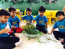 Apple Blosom Nursery School Pashan Galley Image 4