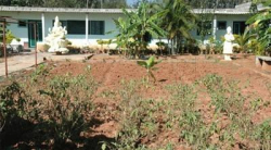 ARUNODAYA RESIDENTIAL SCHOOL Galley Image 3