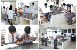 BGS INTERNATIONAL PUBLIC  SCHOOL Galley Image 3