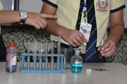 The Samarth School Galley Image 4