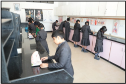 K. K. WAGH UNIVERSAL SCHOOL Galley Image 4
