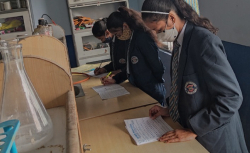 Patmer School Galley Image 2