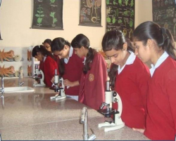 RAO RAM JIWAN SINGH D A V PUBLIC SCHOOL Gallery Image 2