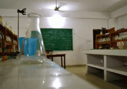 Green Fields School Galley Image 3