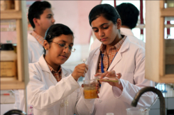 Bal Mandir Senior Secondary School Galley Image 4