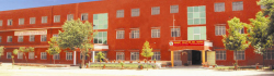 Basant Valley School Senior secondary School Galley Image 2