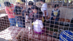 BesantÂ Montessori School Galley Image 4