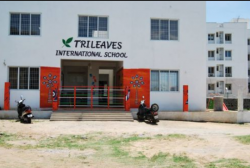 IGCSE Schools in Vengaivasal, Chennai, Trileaves International School, RAJAKILPAKKAM,Thirumagal Nagar,Madambakkam Main Road, Balaji Nagar,Selaiyur, Chennai