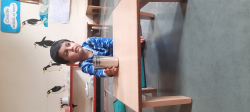 Rays Montessori House of Children Galley Image 4