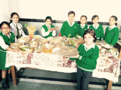 Bhatnagar International School Galley Image 4