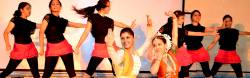 Birla Vidya Niketan Galley Image 4