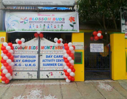 Pre schools, Playschools schools in Kumaraswamy Layout, Bangalore, BLOSSOM BUDS KUMARASWAMY LAYOUT, 2538, 13TH MAIN ROAD, 2ND STAGE, KUMARASWAMY LAYOUT, Stage 2,Kumaraswamy Layout, Bengaluru