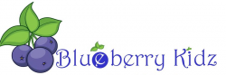 Pre School near Panjagutta, Hyderabad, BLUE BERRY KIDZ, BABU KHAN MILLENNIUM CENTER, RAJ BHAVAN ROAD, SOMAJIGUDA, Raj Bhavan Quarters Colony,Somajiguda, Hyderabad
