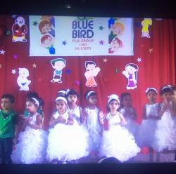 BLUE BIRD Galley Image 4