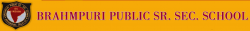 Schools in Seelampur, Delhi, Brahmpuri Public School, Gali No. 15, Brahmpuri , Brahampuri,Shahdara, Delhi