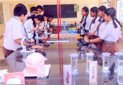 Bright Public School Galley Image 4