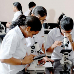 SCHOLARS INTERNATIONAL SCHOOL Galley Image 3