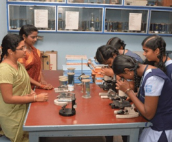 Gateway International School Galley Image 4