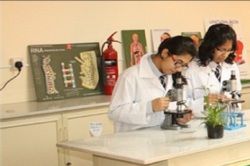 MAHARAJA AGRASEN PUBLIC SCHOOL Galley Image 2