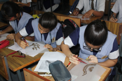 Nirmala Convent Senior Secondary School Galley Image 2