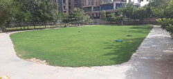 Divya Jyot School Galley Image 4