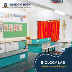 school galley image