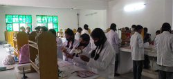 Bhonwal Convent School Galley Image 4