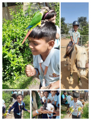 KESAR – THE INTERNATIONAL SCHOOL Galley Image 4