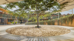 Outdoor Play Area