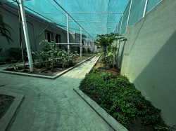 GOLDENBEE GLOBAL SCHOOL - Horamavu Galley Image 4