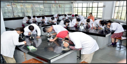 D A V Public School Galley Image 2
