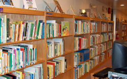 Dewan Badri Nath Vidya Mandir Galley Image 4