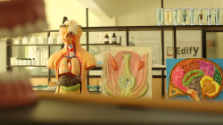 EDIFY SCHOOL Galley Image 3