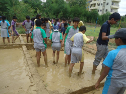 স্কুল গ্যালি ছবি