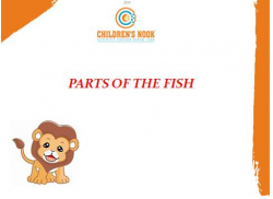 CHILDRENS NOOK  Worli Galley Image 2