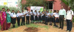 The Creek Planet School Galley Image 2