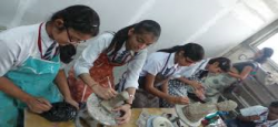 D.A.V Public School Galley Image 4