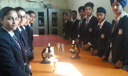 Victoria International School Galley Image 4