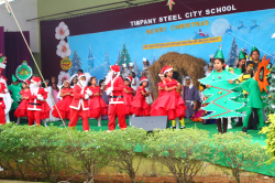 TIMPANY STEEL CITY SCHOOL Galley Image 3