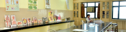 CBSE Schools in Gomti Nagar, Lucknow, Greenland Public School, 3, Vijayant Khand, Gomti Nagar, Gomtinagar, Lucknow