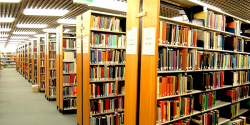 ST. FRANCIS SCHOOL Gallery Image 4