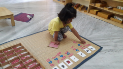 KRSNA MONTESSORI Galley Image 4