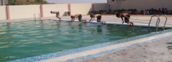 Sanskar Bharti Public School Galley Image 3