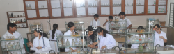 DAV Public School Galley Image 2