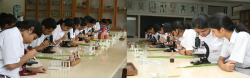DAV Public School Galley Image 4