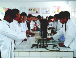 DAV Public School Galley Image 4