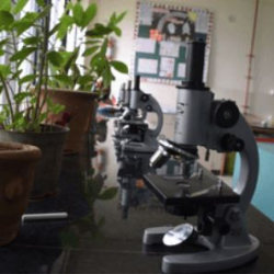 DELHI PUBLIC SCHOOL Galley Image 4