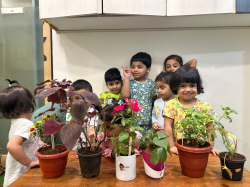 Mindseed Preschool & Daycare Gallery Image 4