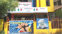 Delphiniums Galley Image 2