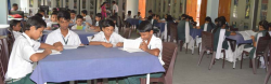 Dev Samaj Vidya Niketan Senior Secondary School Galley Image 4